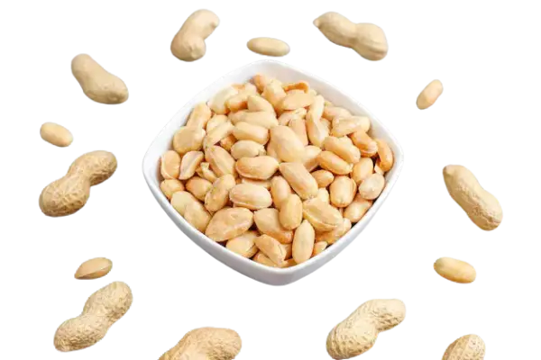 Plain Peanut